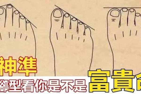 女人脚纹算命图解,脚丑的女人的命运