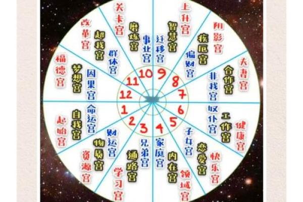 紫薇斗数流日天干怎么定