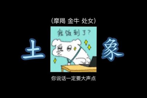 土象星座的人属于土命吗