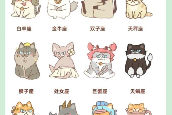 十二星座最适合养什么猫狗