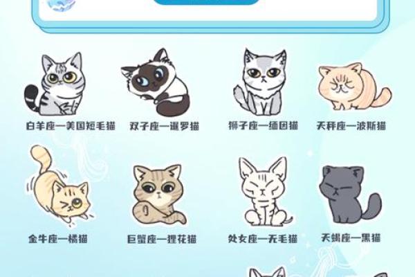 十二星座最适合养什么猫狗
