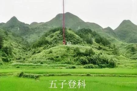阴宅风水师不为卜葬的十种人