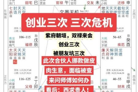紫薇斗数看创业与否