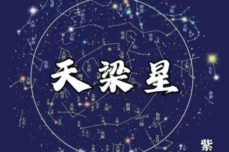 紫薇斗数绝密