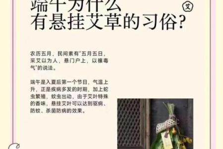 为什么艾草不能送人有什么风水说法