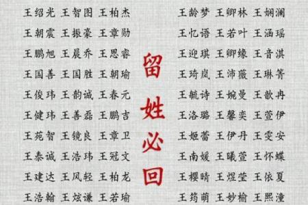 王姓女孩名字大全-王姓女孩起名字大全-王姓名字大全姓名