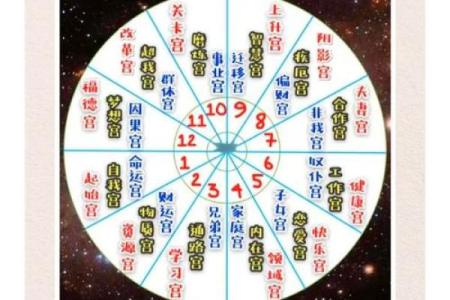 紫薇斗数流日天干怎么定