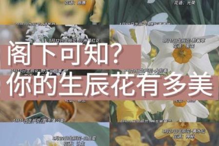 7月12日生日花语：金鱼草，7月12日是什么星座？