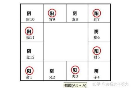 紫微斗数之田宅宫与诸星，太阳星在田宅宫是什么意思？