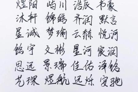 高分取名-2024年元旦节出生的宝宝八字起名字