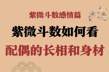 紫薇斗数相貌身材