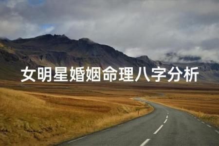 八字看明星