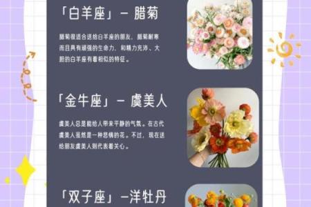 怎么看自己是什么星座