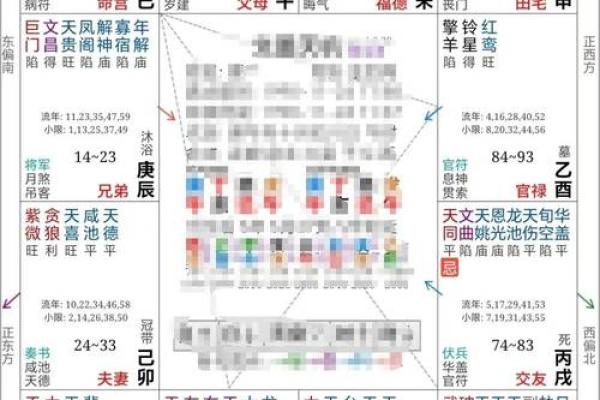 紫薇命盘详解免费版