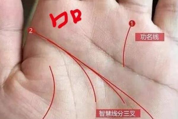 算命中指的官是什么