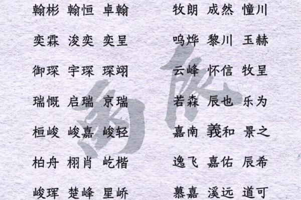 如何来替属猪未时出生的男孩如何起名姓名