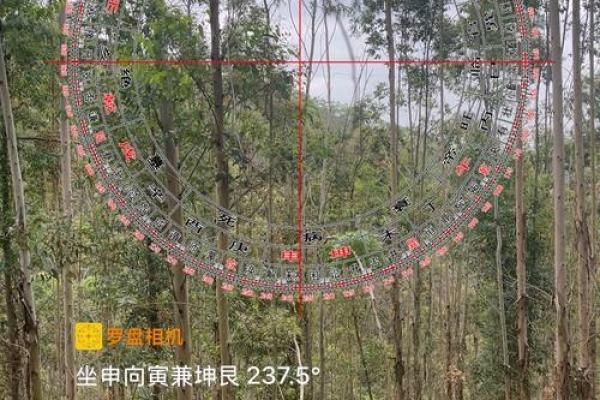 风水房子后面没有山