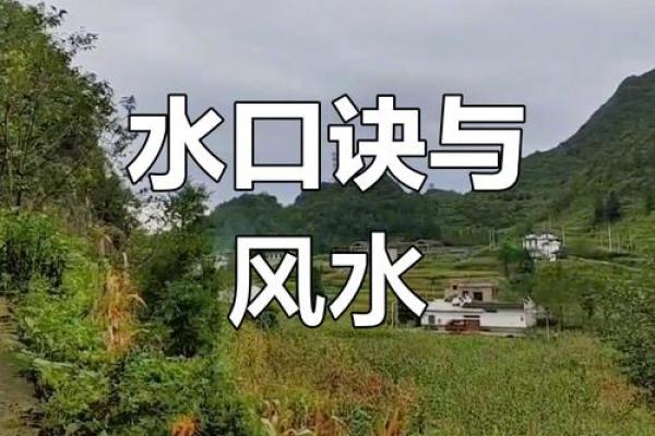 杨文良风水大师