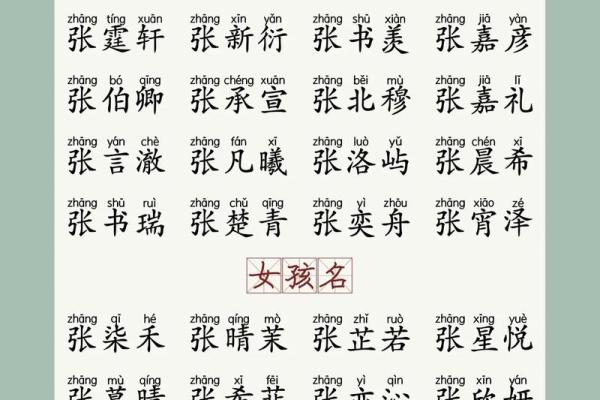 2019年4月19号卯时出生的男孩如何起名姓名
