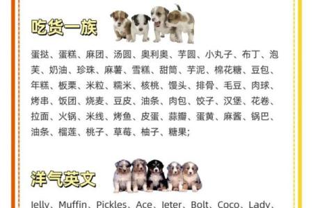 早上九点出生的属狗男孩取什么名，适合什么字姓名
