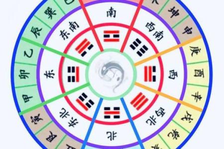 八字子午卯酉