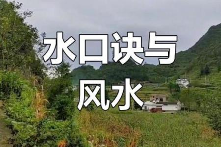 杨文良风水大师