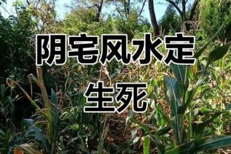 阴宅风水重要吗？