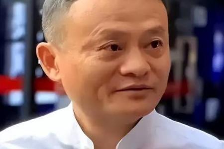 马云的紫薇斗数