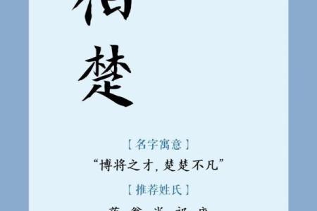 凌晨5点出生的属蛇男孩怎样起名，宜用什么字姓名