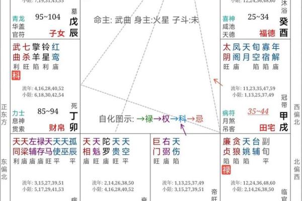 紫微斗数之迁移宫与诸星，天相星在迁移宫是什么意思？