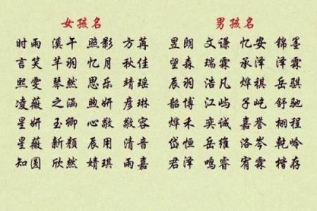 取名八字打分测试免费