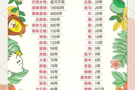 风水12生肖寿命最长的是什么动物是它吗
