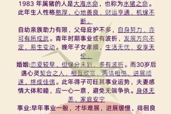 如何给属猪申时出生的男孩取个好名字姓名