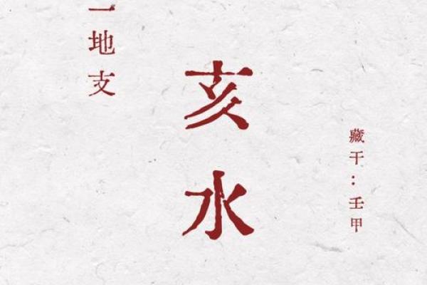 亥时的八字