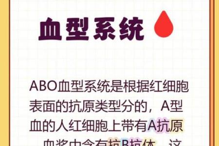 a型血和a型血会生出什么血型