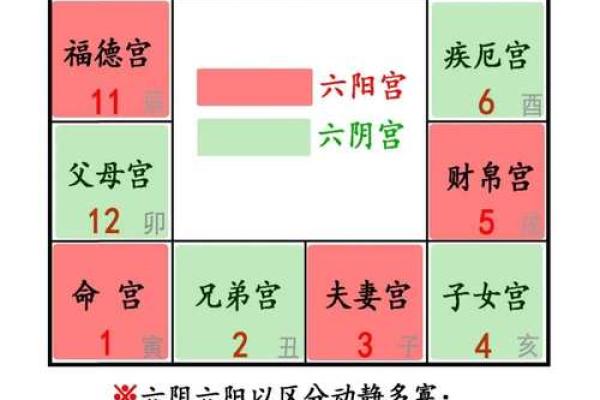 紫薇斗数对宫怎么看