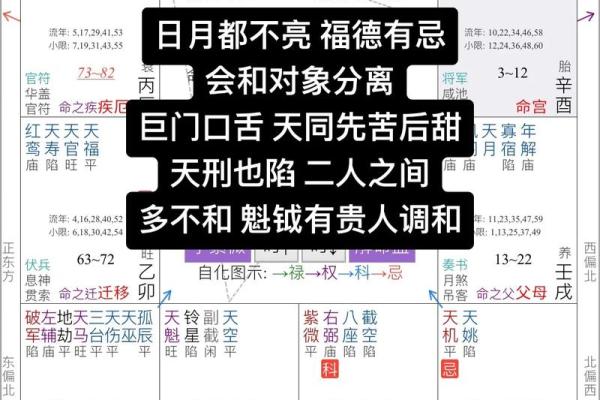 能嫁有钱老公的紫薇斗数女