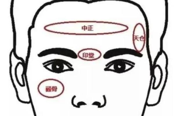 发际线的面相风水，你知道吗