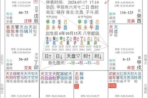 紫薇斗数几颗朱星