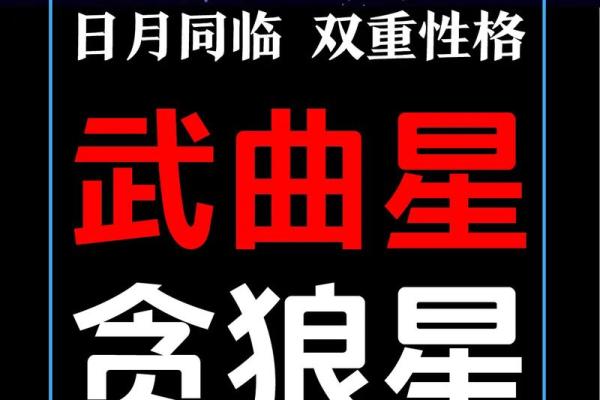 紫微斗数火太多 紫微斗数火贪？