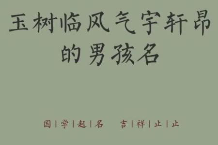 2019年4月13号丑时出生的男孩应该起什么样的名字姓名