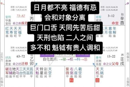 能嫁有钱老公的紫薇斗数女