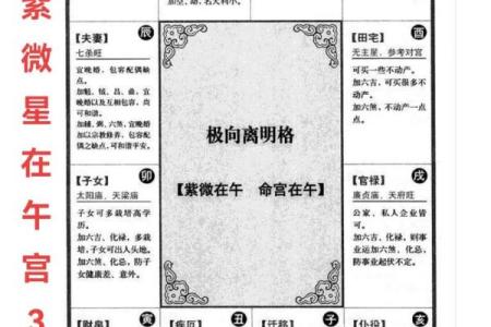 紫薇斗数命盘案例