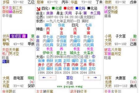 紫薇斗数绝墓