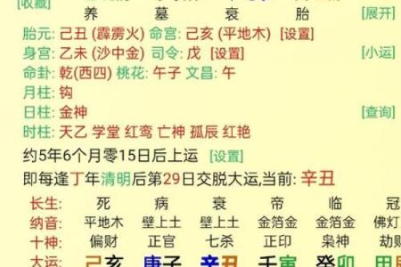 八字杂奇格：两神成象格