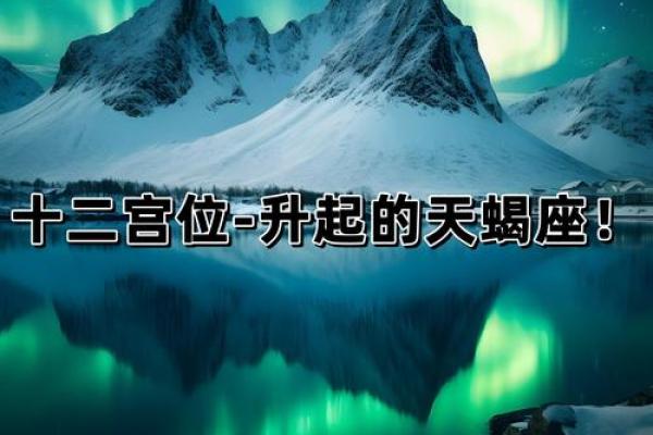 月亮星座天蝎座和天蝎座配吗