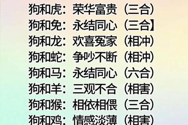 1994年属什么生肖年龄多少 1994年属什么生肖配对最好