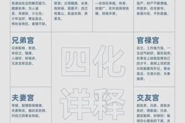 紫薇斗数流分盘