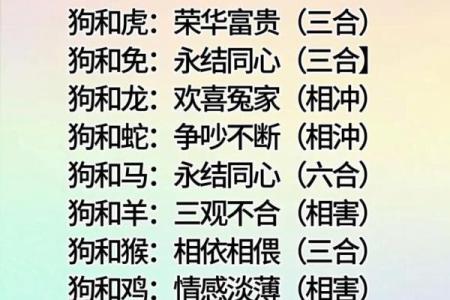 1994年属什么生肖年龄多少 1994年属什么生肖配对最好