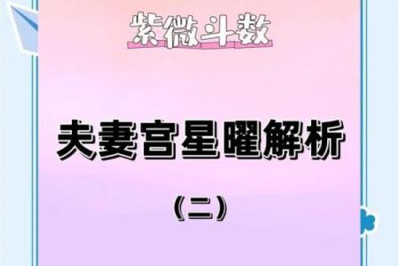 紫微斗数诸星落诸宫之，夫妻宫